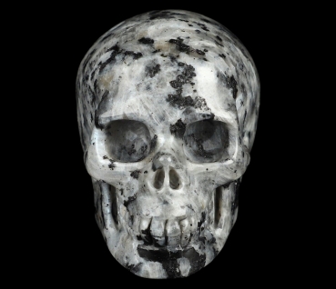 Skull Larvikite
